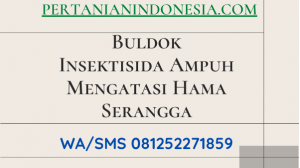 Buldok Insektisida Ampuh Mengatasi Hama Serangga