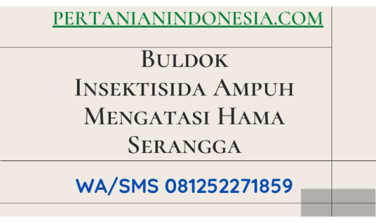 Buldok Insektisida Ampuh Mengatasi Hama Serangga