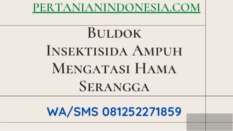 Buldok Insektisida Ampuh Mengatasi Hama Serangga