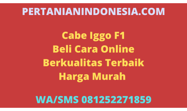 Cabe Iggo F1 Beli Cara Online Berkualitas Terbaik Harga Murah 