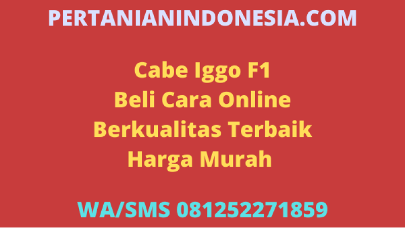 Cabe Iggo F1 Beli Cara Online Berkualitas Terbaik Harga Murah 