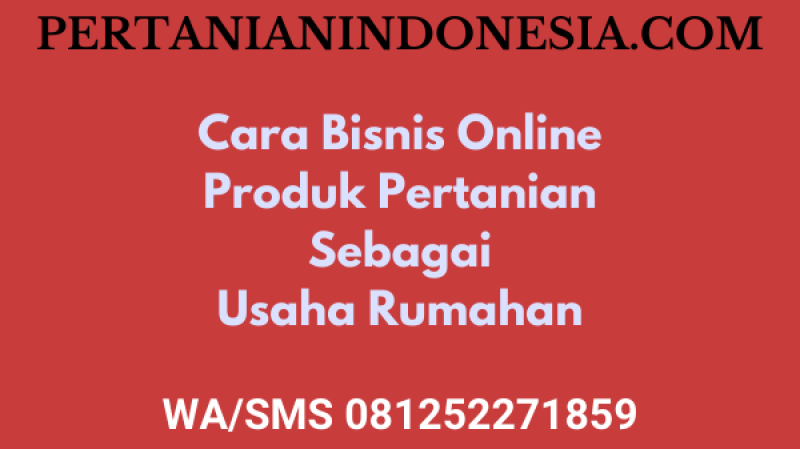 Cara Bisnis Online Produk Pertanian Sebagai Usaha Rumahan