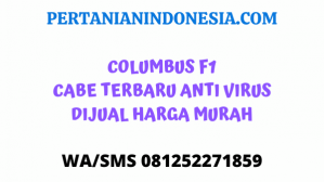 Columbus F1 Cabe Terbaru Anti Virus Di Jual Harga Murah