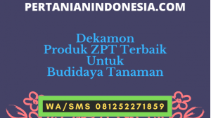 Dekamon Produk ZPT Terbaik Untuk Budidaya Tanaman