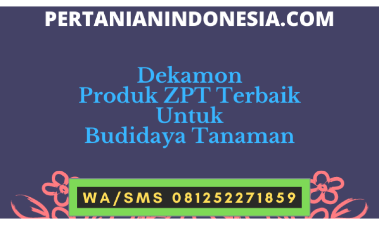 Dekamon Produk ZPT Terbaik Untuk Budidaya Tanaman