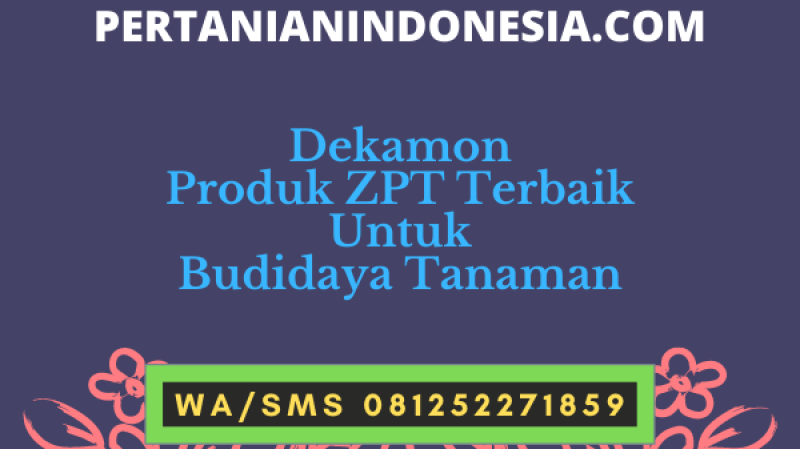 Dekamon Produk ZPT Terbaik Untuk Budidaya Tanaman