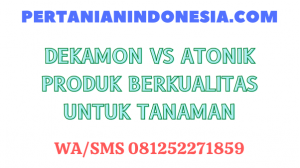 Dekamon VS Atonik Produk Berkualitas Untuk Tanaman