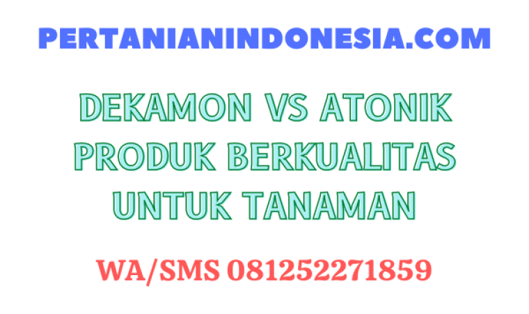 Dekamon VS Atonik Produk Berkualitas Untuk Tanaman