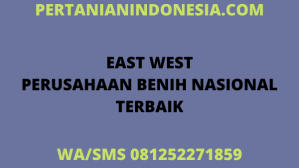 EAST WEST PERUSAHAAN BENIH NASIONAL INDONESIA TERBAIK