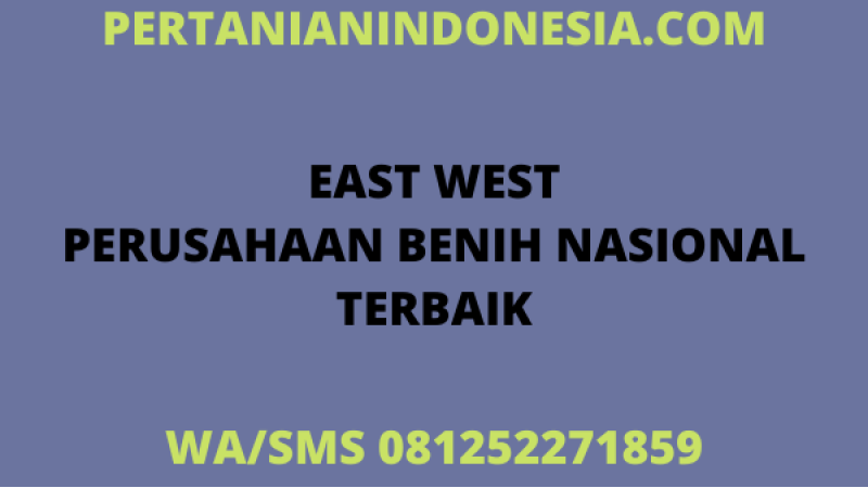 EAST WEST PERUSAHAAN BENIH NASIONAL INDONESIA TERBAIK