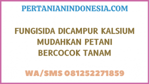 Fungisida Dicampur Kalsium Mudahkan Petani Bercocok Tanam