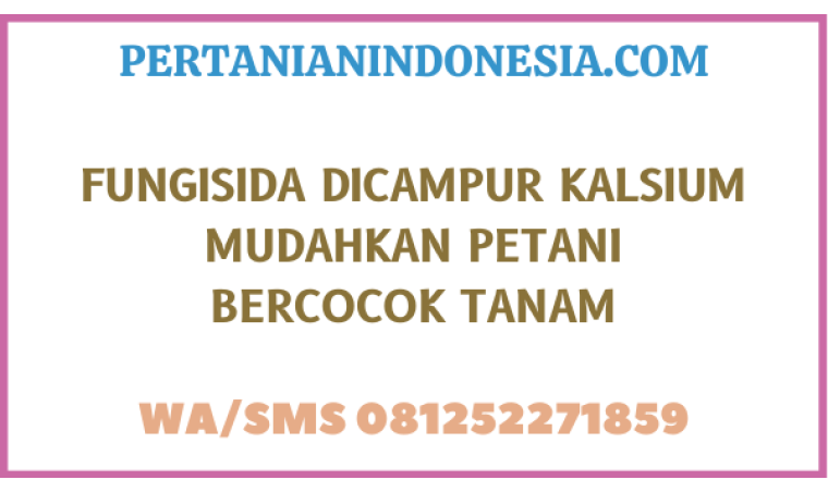 Fungisida Dicampur Kalsium Mudahkan Petani Bercocok Tanam
