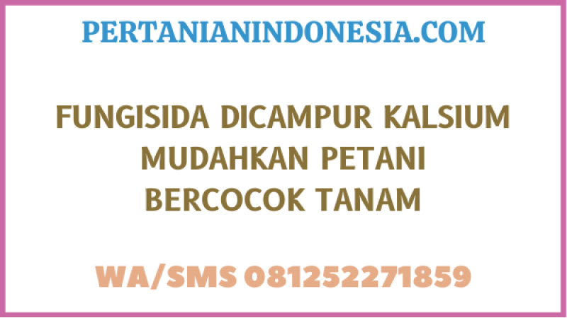 Fungisida Dicampur Kalsium Mudahkan Petani Bercocok Tanam