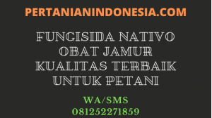 Fungisida Nativo Obat Jamur Kualitas Terbaik Untuk Petani