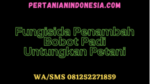 Fungisida Penambah Bobot Padi Untungkan Petani