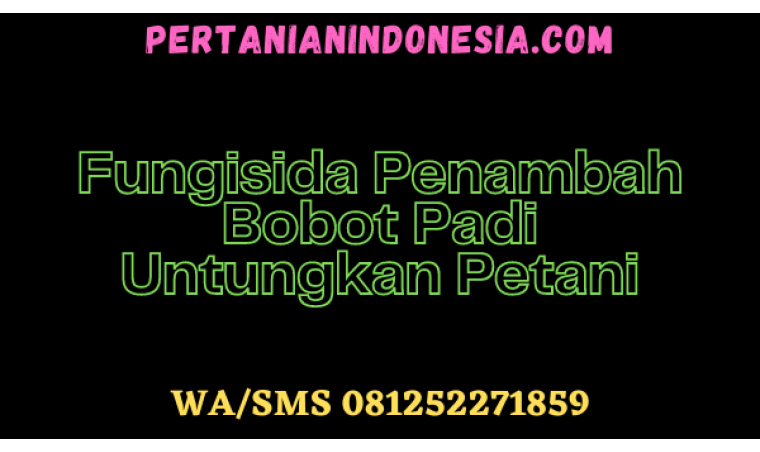 Fungisida Penambah Bobot Padi Untungkan Petani