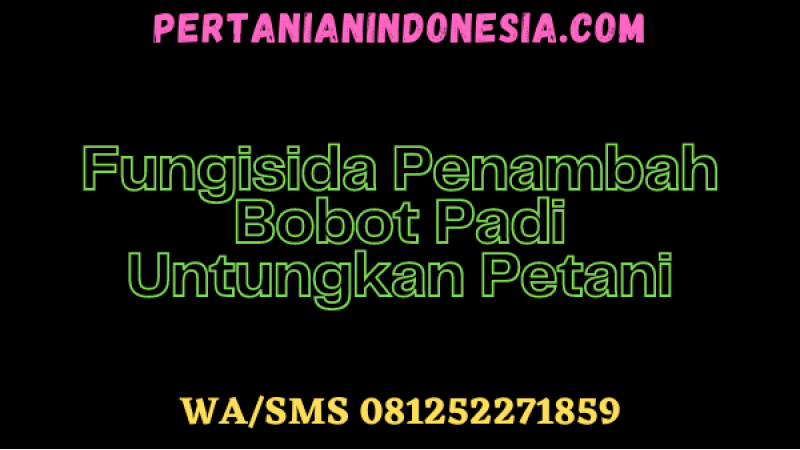 Fungisida Penambah Bobot Padi Untungkan Petani
