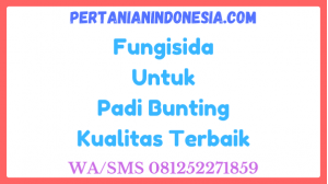 Fungisida Untuk Padi Bunting Kualitas Terbaik