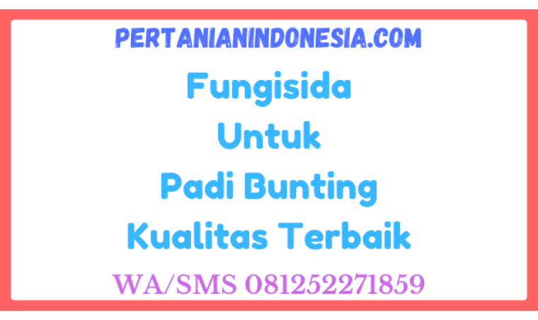 Fungisida Untuk Padi Bunting Kualitas Terbaik