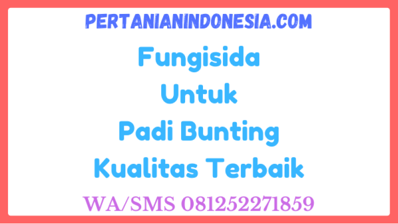 Fungisida Untuk Padi Bunting Kualitas Terbaik