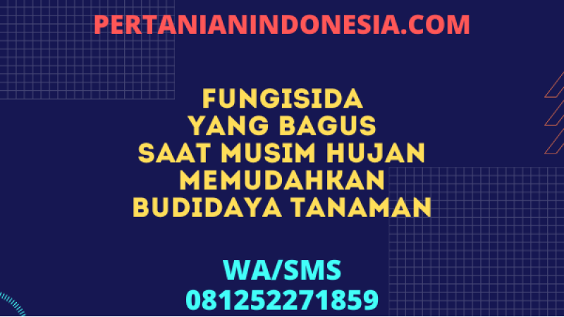 Fungisida Yang Bagus Saat Musim Hujan Memudahkan Budidaya Tanaman