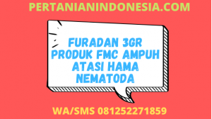 Furadan 3GR Produk FMC Ampuh Atasi Hama Nematoda
