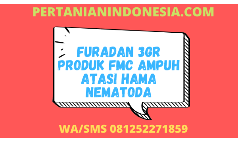 Furadan 3GR Produk FMC Ampuh Atasi Hama Nematoda