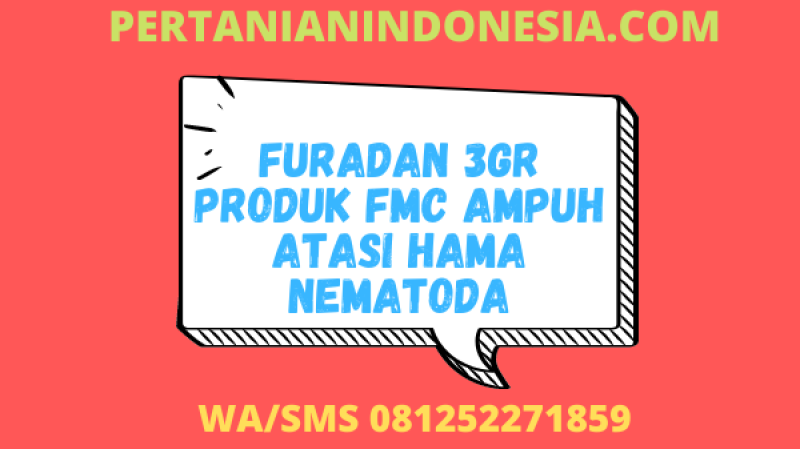 Furadan 3GR Produk FMC Ampuh Atasi Hama Nematoda