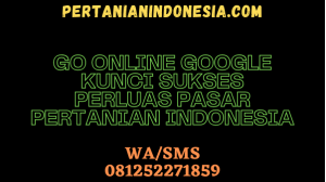 GO ONLINE GOOGLE KUNCI SUKSES PERLUAS PASAR PERTANIAN INDONESIA