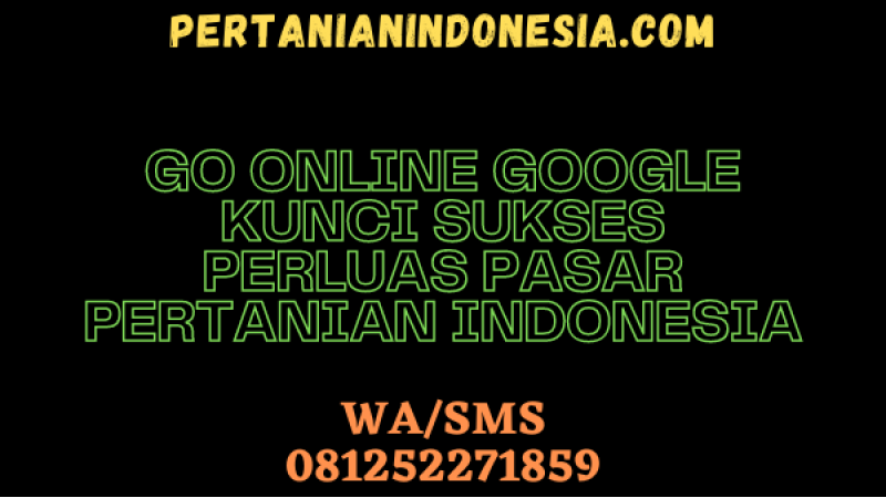 GO ONLINE GOOGLE KUNCI SUKSES PERLUAS PASAR PERTANIAN INDONESIA