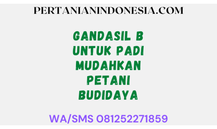 Gandasil B Untuk Padi Mudahkan Petani Budidaya
