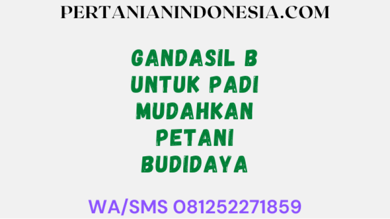 Gandasil B Untuk Padi Mudahkan Petani Budidaya