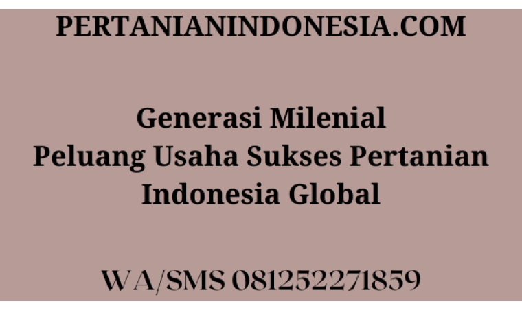 Generasi Milenial Peluang Usaha Sukses Pertanian Indonesia Global