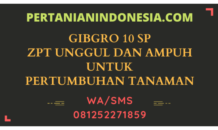 Gibgro 10 SP ZPT Unggul Dan Ampuh Untuk Pertumbuhan Tanaman