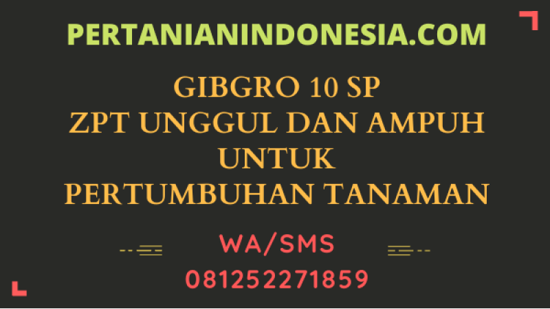 Gibgro 10 SP ZPT Unggul Dan Ampuh Untuk Pertumbuhan Tanaman