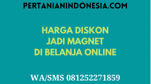 Harga Diskon Jadi Magnet Di Belanja Online