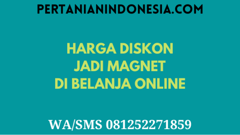 Harga Diskon Jadi Magnet Di Belanja Online