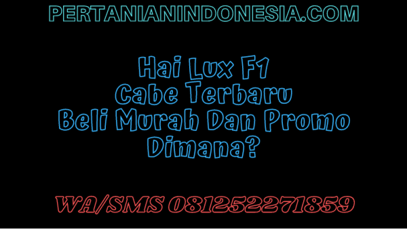 Hai Lux F1 Cabe Terbaru Beli Murah Dan Promo Dimana?