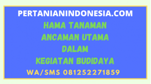 Hama Tanaman Ancaman Utama Dalam Kegiatan Budidaya