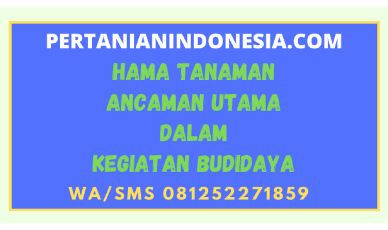 Hama Tanaman Ancaman Utama Dalam Kegiatan Budidaya