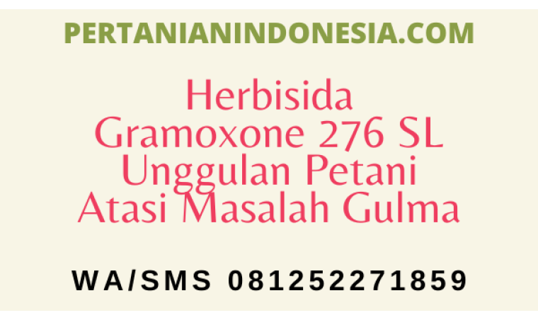 Herbisida Gramoxone 276 SL Unggulan Petani Atasi Masalah Gulma