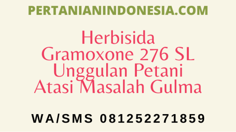 Herbisida Gramoxone 276 SL Unggulan Petani Atasi Masalah Gulma