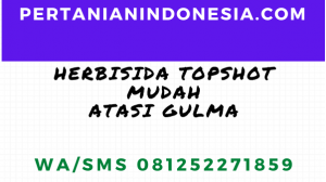 Herbisida Topshot Atasi Gulma Secara Mudah