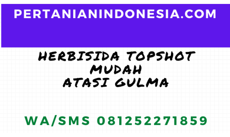 Herbisida Topshot Atasi Gulma Secara Mudah