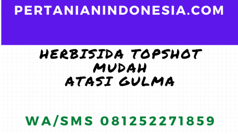 Herbisida Topshot Atasi Gulma Secara Mudah