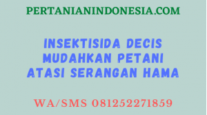 Insektisida Decis Mudahkan Petani Atasi Serangan Hama