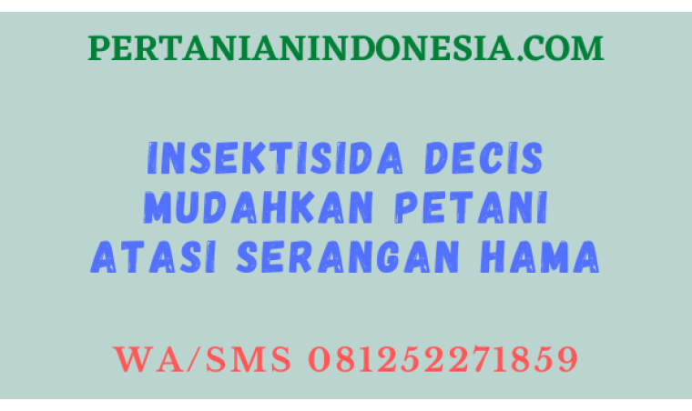 Insektisida Decis Mudahkan Petani Atasi Serangan Hama