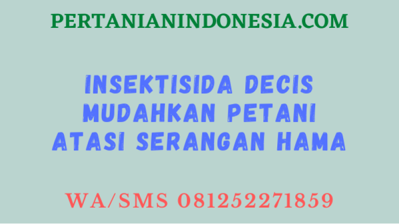Insektisida Decis Mudahkan Petani Atasi Serangan Hama