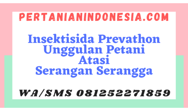 Insektisida Prevathon Unggulan Petani Atasi Serangan Serangga