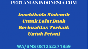 Insektisida Sistemik Untuk Lalat Buah Berkualitas Terbaik Untuk Petani